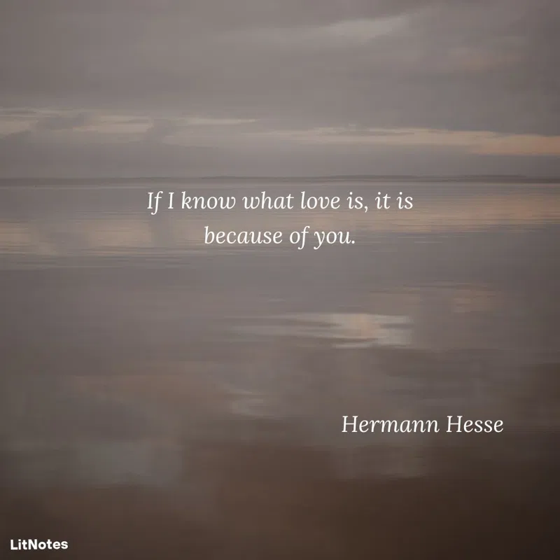 If I know what love is, it is because of you.